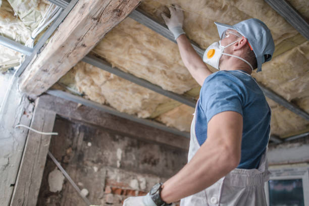 Best Eco-Friendly Insulation in Palos Hls, IL
