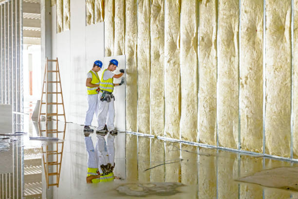 Best Specialized Insulation Services in Palos Hls, IL
